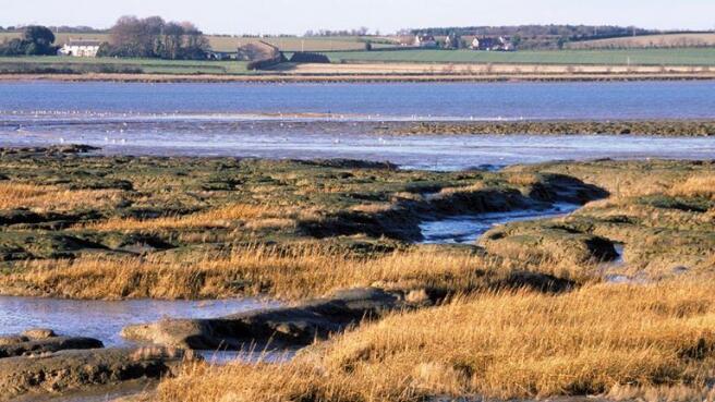 Stour Estuary