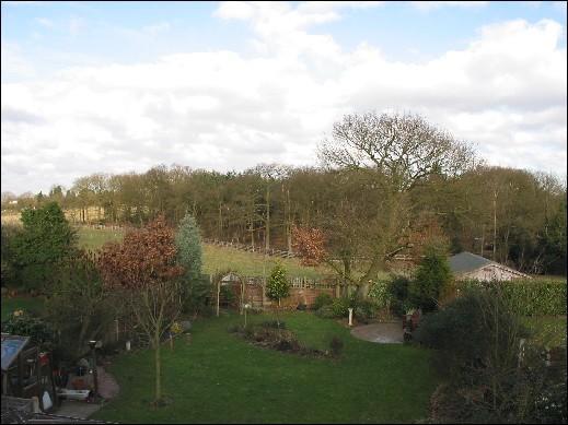 Garden Views 