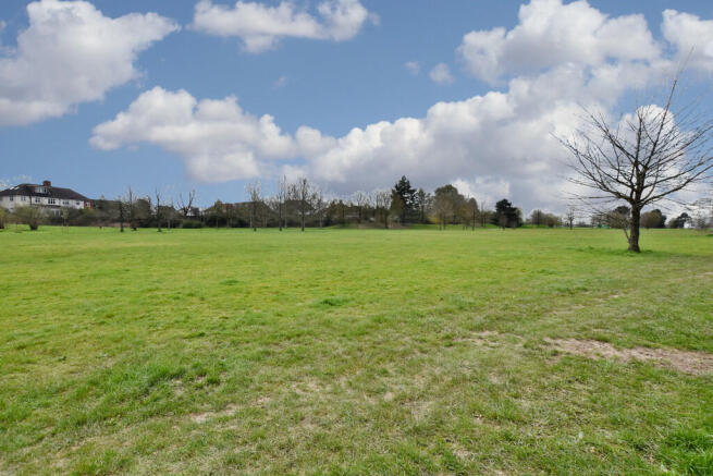 Green Space