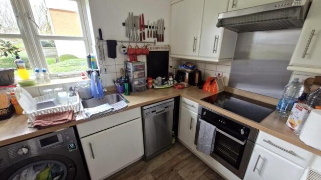 20260325_100656_resized