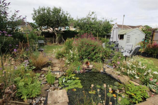 Wildlife Pond
