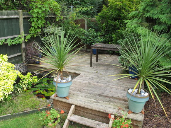 Photo 8