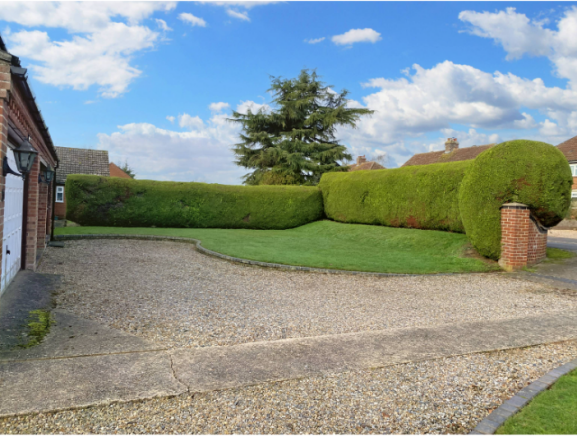 Front Garden