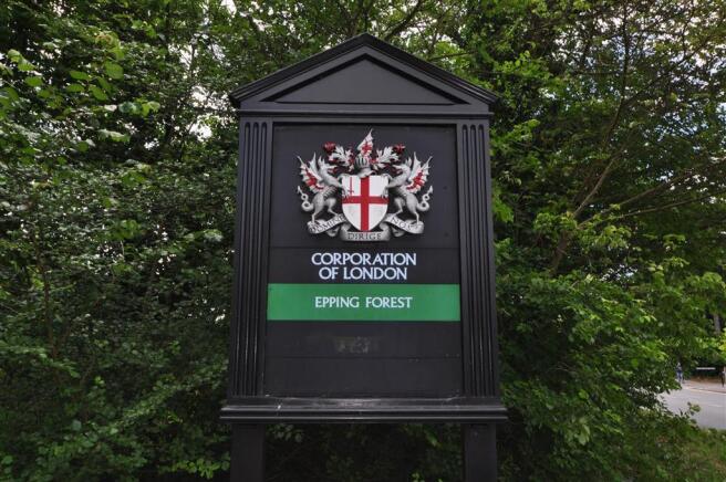 Epping Forest