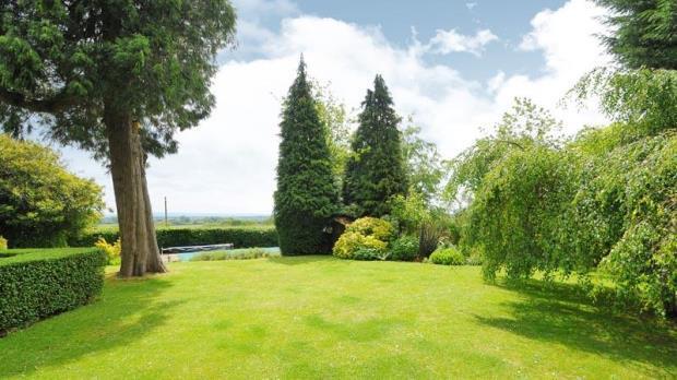 Garden and Pool Area