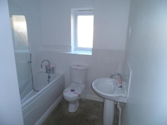 Picture 8