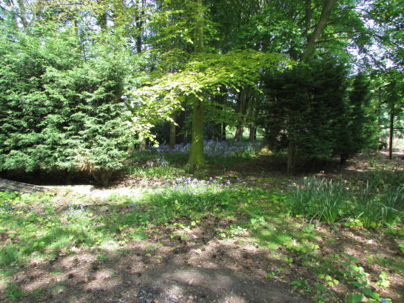 Photo 22