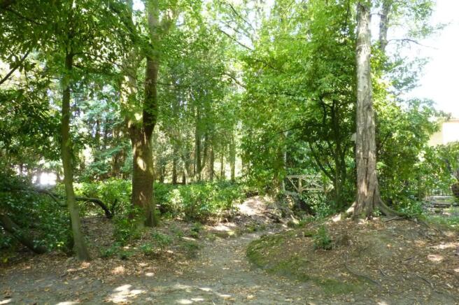 Communal Grounds