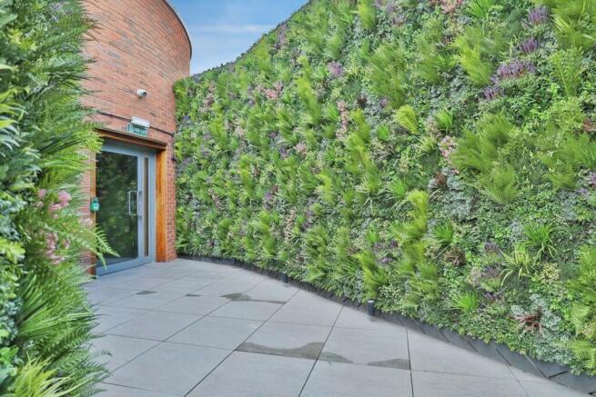 Roof Terrace