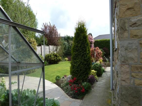 Image 12