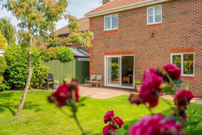 Rear Garden (2)