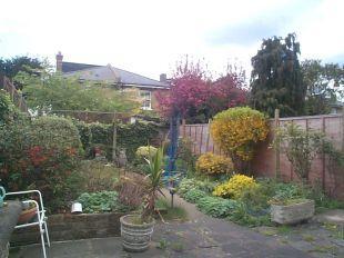 Photo 4