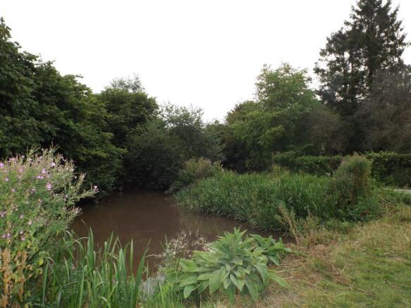 Garden View with pond