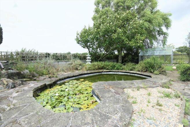 Pond