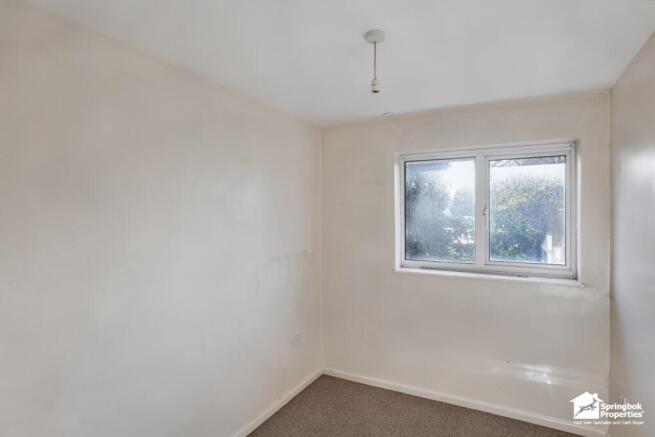 IMAGE 6