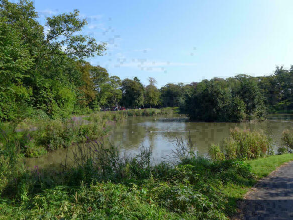 Surrounding Area