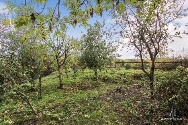 Orchard 
