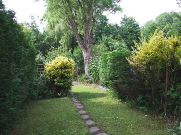 Photo 5