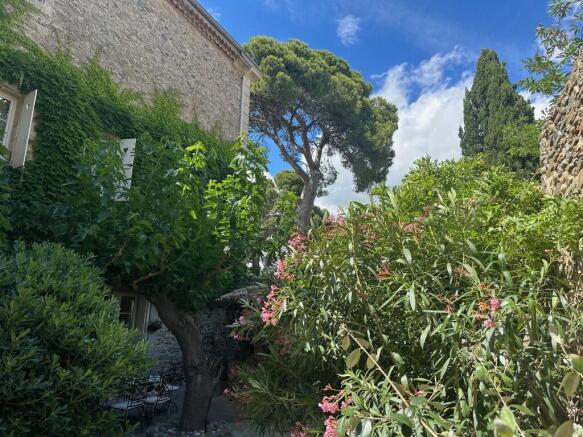 The beautiful garden