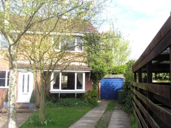 Photo 7