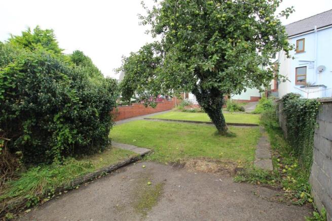 rear garden.JPG
