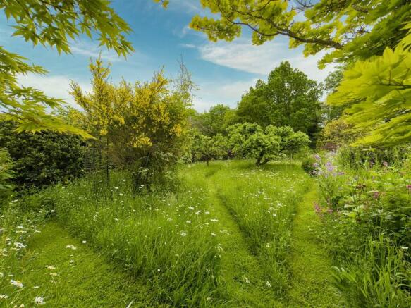 Orchard