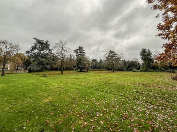 garden 2.jpg