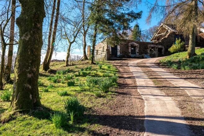 Driveway