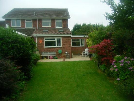 Back Garden