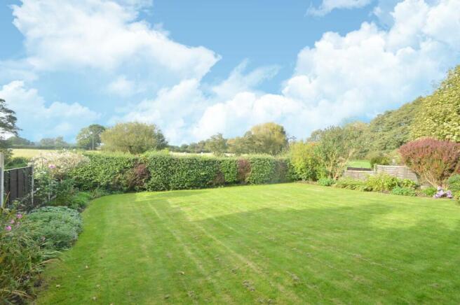 garden 3.jpg