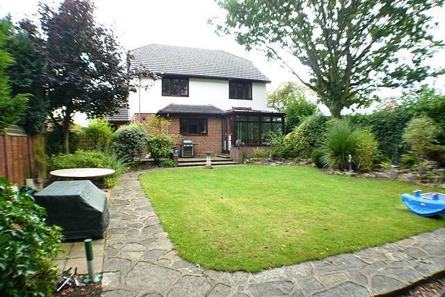 Rear Elevation
