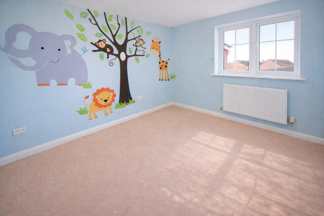 Photo 13