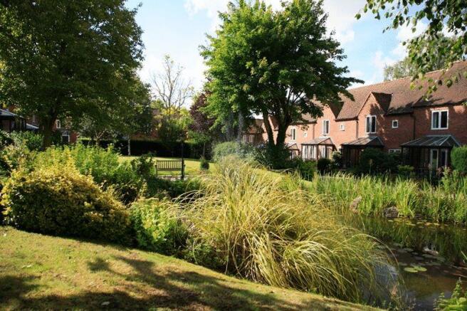 View across garden