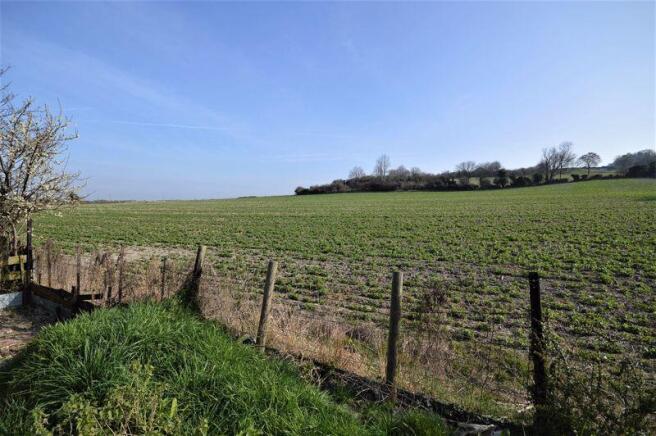 Fields at Rear