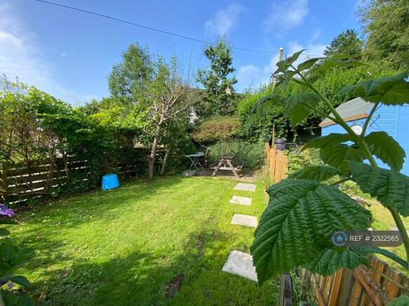 Back Garden