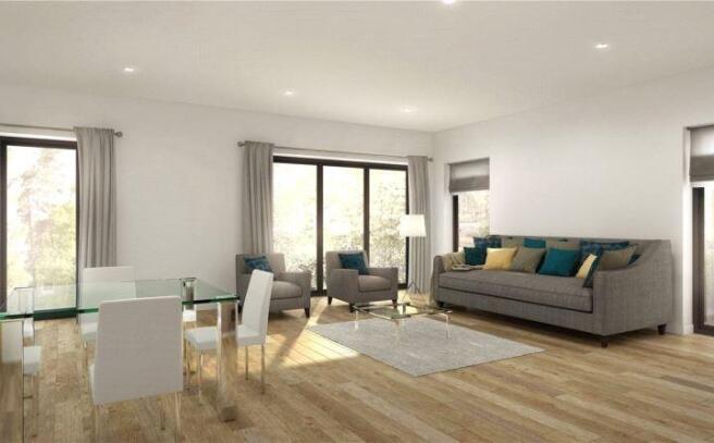 Kitchen/ Living Area