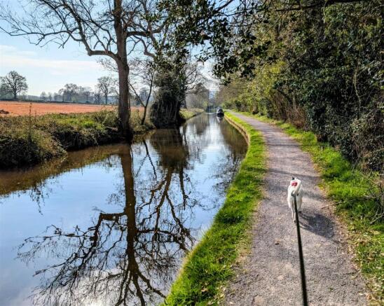 Local Walks