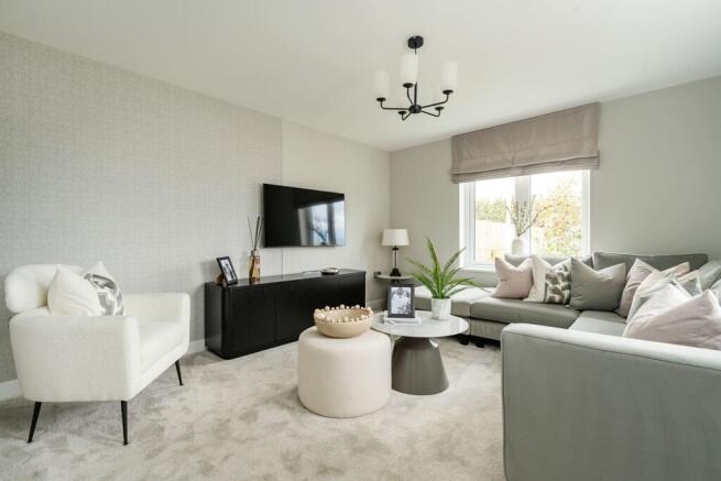 Family nights in with comfort