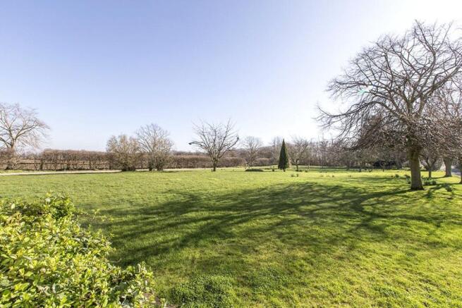Large Garden