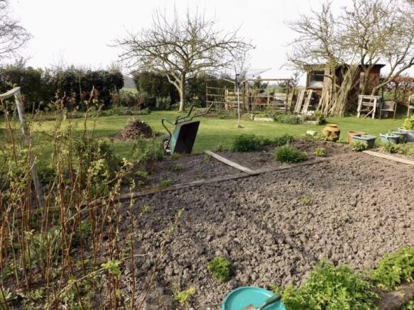 Vegetable Garden
