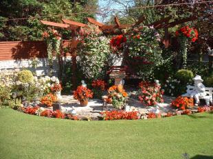 Rear garden