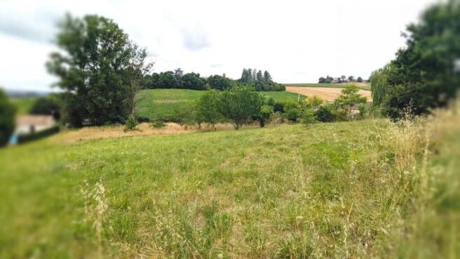 Un paysage champêtre avec des champs et des arbres