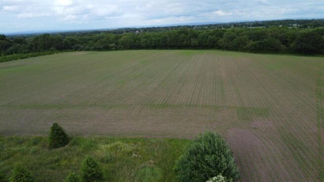 DJI_0485.JPG