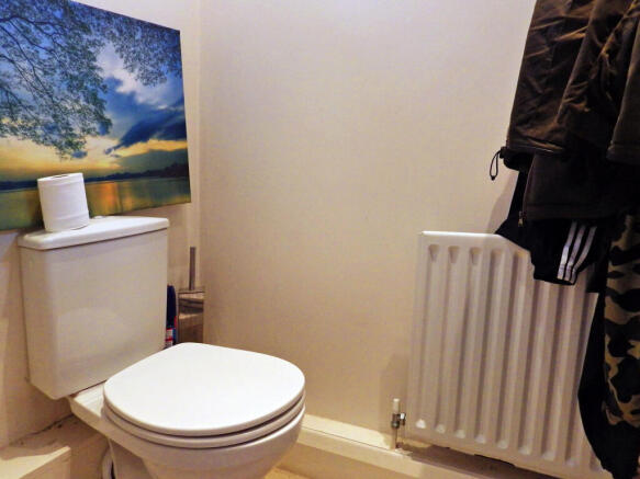 Picture 7