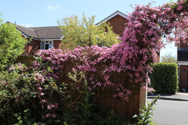 Photo 26