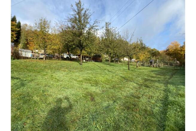 Orchard