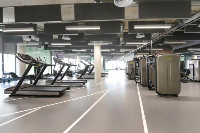 gym