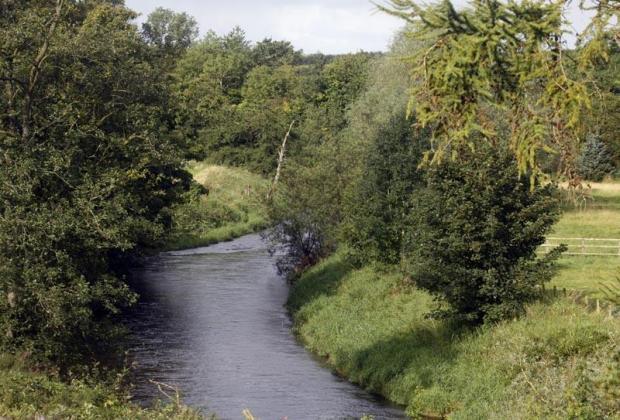 Shawhill
