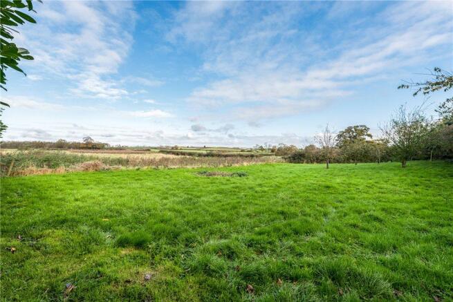 Orchard/Paddock