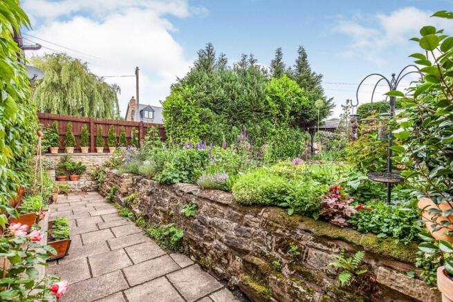 Garden Pic 2